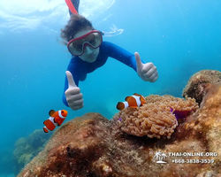 Underwater Odyssey snorkeling excursion in Pattaya Thailand photo 628