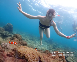 Underwater Odyssey snorkeling excursion Pattaya Thailand photo 11434