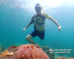 Underwater Odyssey snorkeling tour from Pattaya Thailand photo 18576
