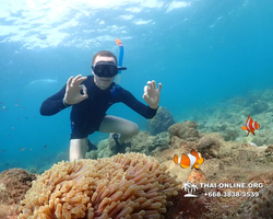 Underwater Odyssey snorkeling excursion Pattaya Thailand photo 11385