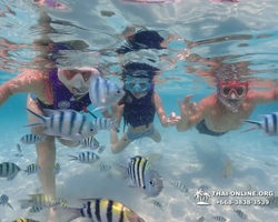 Underwater Odyssey snorkeling excursion in Pattaya Thailand photo 703