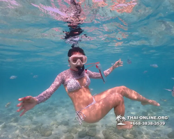 Underwater Odyssey snorkeling excursion Pattaya Thailand photo 11003