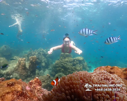 Underwater Odyssey snorkeling tour from Pattaya Thailand photo 14292