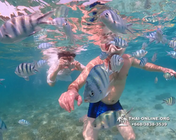 Underwater Odyssey snorkeling excursion Pattaya Thailand photo 11301