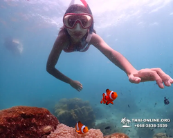 Underwater Odyssey snorkeling excursion in Pattaya Thailand photo 574