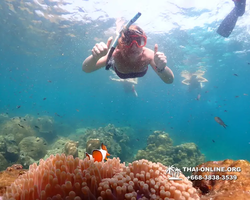 Underwater Odyssey snorkeling tour from Pattaya Thailand photo 14283