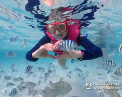 Underwater Odyssey snorkeling excursion in Pattaya Thailand photo 630