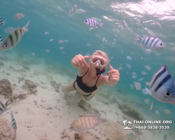 Underwater Odyssey snorkeling excursion in Pattaya Thailand photo 205