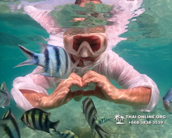 Underwater Odyssey snorkeling tour from Pattaya Thailand photo 14287