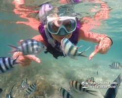 Underwater Odyssey snorkeling excursion Pattaya Thailand photo 19251