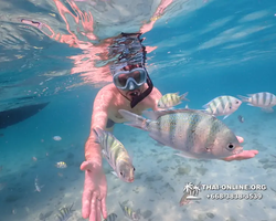 Underwater Odyssey snorkeling excursion Pattaya Thailand photo 11049