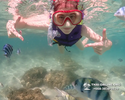 Underwater Odyssey snorkeling excursion Pattaya Thailand photo 19273