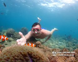 Underwater Odyssey snorkeling excursion Pattaya Thailand photo 11426