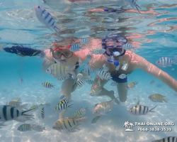 Underwater Odyssey snorkeling excursion in Pattaya Thailand photo 850