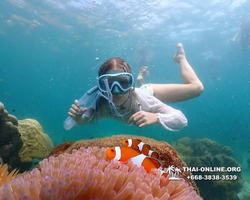 Underwater Odyssey snorkeling tour from Pattaya Thailand photo 18435