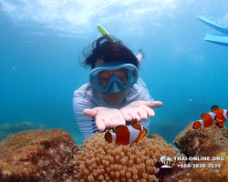 Underwater Odyssey snorkeling excursion in Pattaya Thailand photo 639