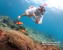 Underwater Odyssey snorkeling excursion Pattaya Thailand photo 11394