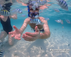 Underwater Odyssey snorkeling excursion in Pattaya Thailand photo 957