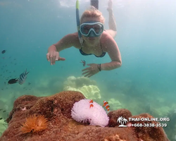 Underwater Odyssey snorkeling excursion Pattaya Thailand photo 19468