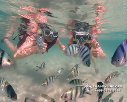 Underwater Odyssey snorkeling excursion Pattaya Thailand photo 19383