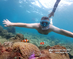 Underwater Odyssey snorkeling excursion Pattaya Thailand photo 11440