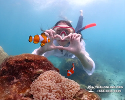 Underwater Odyssey snorkeling excursion in Pattaya Thailand photo 453