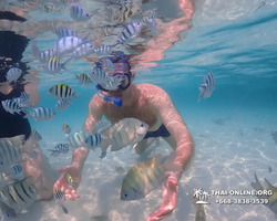 Underwater Odyssey snorkeling excursion in Pattaya Thailand photo 909