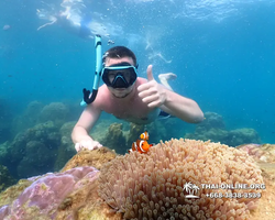 Underwater Odyssey snorkeling excursion Pattaya Thailand photo 11569