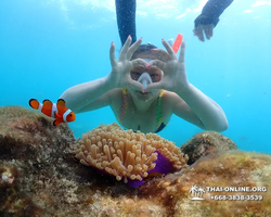 Underwater Odyssey snorkeling excursion in Pattaya Thailand photo 629