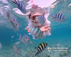 Underwater Odyssey snorkeling excursion Pattaya Thailand photo 11159