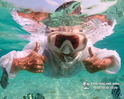 Underwater Odyssey snorkeling tour from Pattaya Thailand photo 14180
