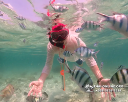 Underwater Odyssey snorkeling tour from Pattaya Thailand photo 18379