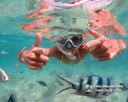 Underwater Odyssey snorkeling tour from Pattaya Thailand photo 14352