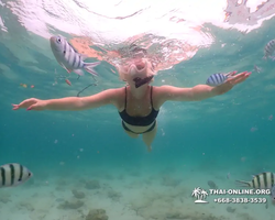 Underwater Odyssey snorkeling excursion in Pattaya Thailand photo 257