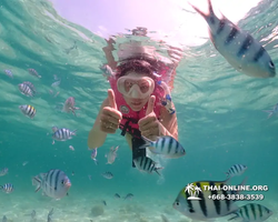 Underwater Odyssey snorkeling tour from Pattaya Thailand photo 18493