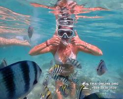 Underwater Odyssey snorkeling tour from Pattaya Thailand photo 14277