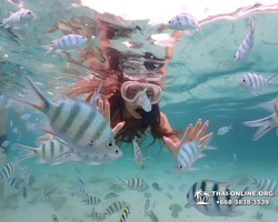 Underwater Odyssey snorkeling excursion in Pattaya Thailand photo 101