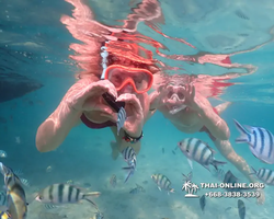 Underwater Odyssey snorkeling tour from Pattaya Thailand photo 14516