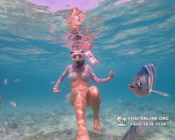 Underwater Odyssey snorkeling excursion Pattaya Thailand photo 11001
