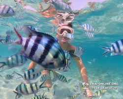 Underwater Odyssey snorkeling excursion Pattaya Thailand photo 11270
