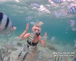 Underwater Odyssey snorkeling excursion in Pattaya Thailand photo 173