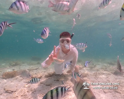 Underwater Odyssey snorkeling tour from Pattaya Thailand photo 18532