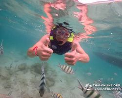 Underwater Odyssey snorkeling excursion in Pattaya Thailand photo 189