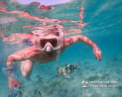 Underwater Odyssey snorkeling excursion Pattaya Thailand photo 11137