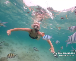 Underwater Odyssey snorkeling excursion in Pattaya Thailand photo 220