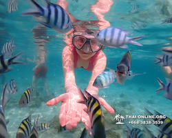 Underwater Odyssey snorkeling tour from Pattaya Thailand photo 14329