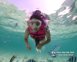 Underwater Odyssey snorkeling tour from Pattaya Thailand photo 18373