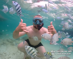 Underwater Odyssey snorkeling excursion in Pattaya Thailand photo 50