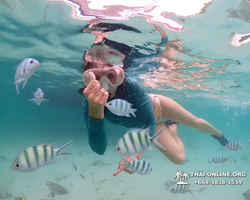 Underwater Odyssey snorkeling excursion in Pattaya Thailand photo 142