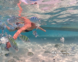 Underwater Odyssey snorkeling excursion Pattaya Thailand photo 11308